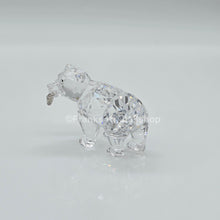 Lade das Bild in den Galerie-Viewer, SWAROVSKI Junger Grizzly Bär mit Fisch 261925
