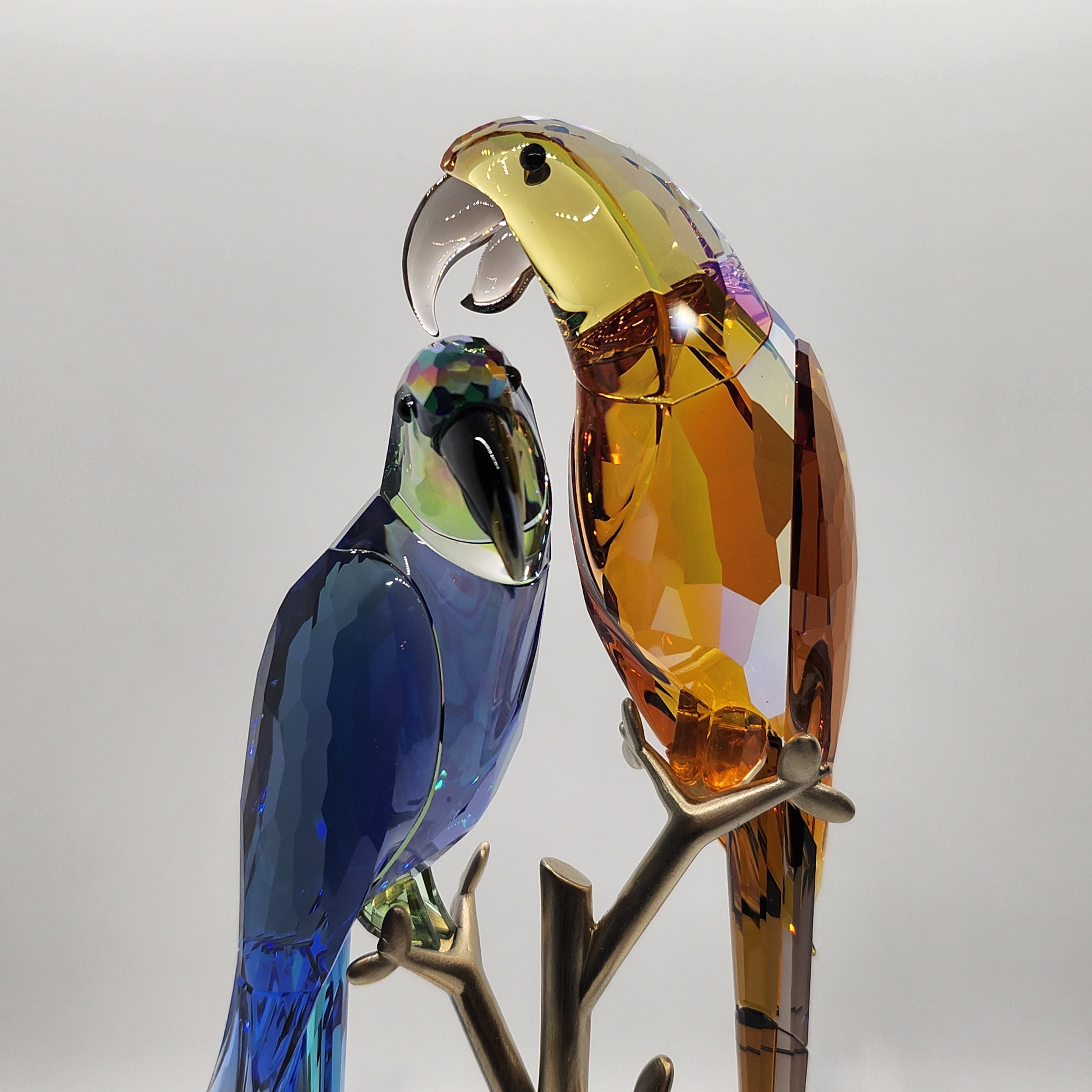 SWAROVSKI Jungle Beats Papageienpaar Bell & Brio 5619218