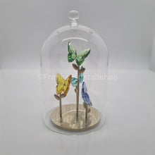 Lade das Bild in den Galerie-Viewer, SWAROVSKI Jungle Beats Schmetterling Glasglocke 5619219 oU
