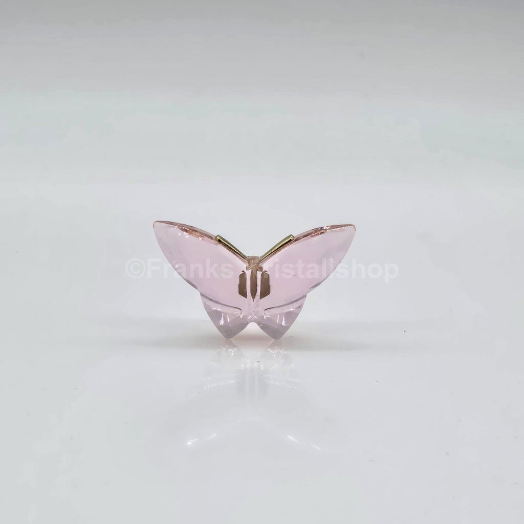 SWAROVSKI Jungle Beats Schmetterling Magnet Brosche Pink Groß 5572154
