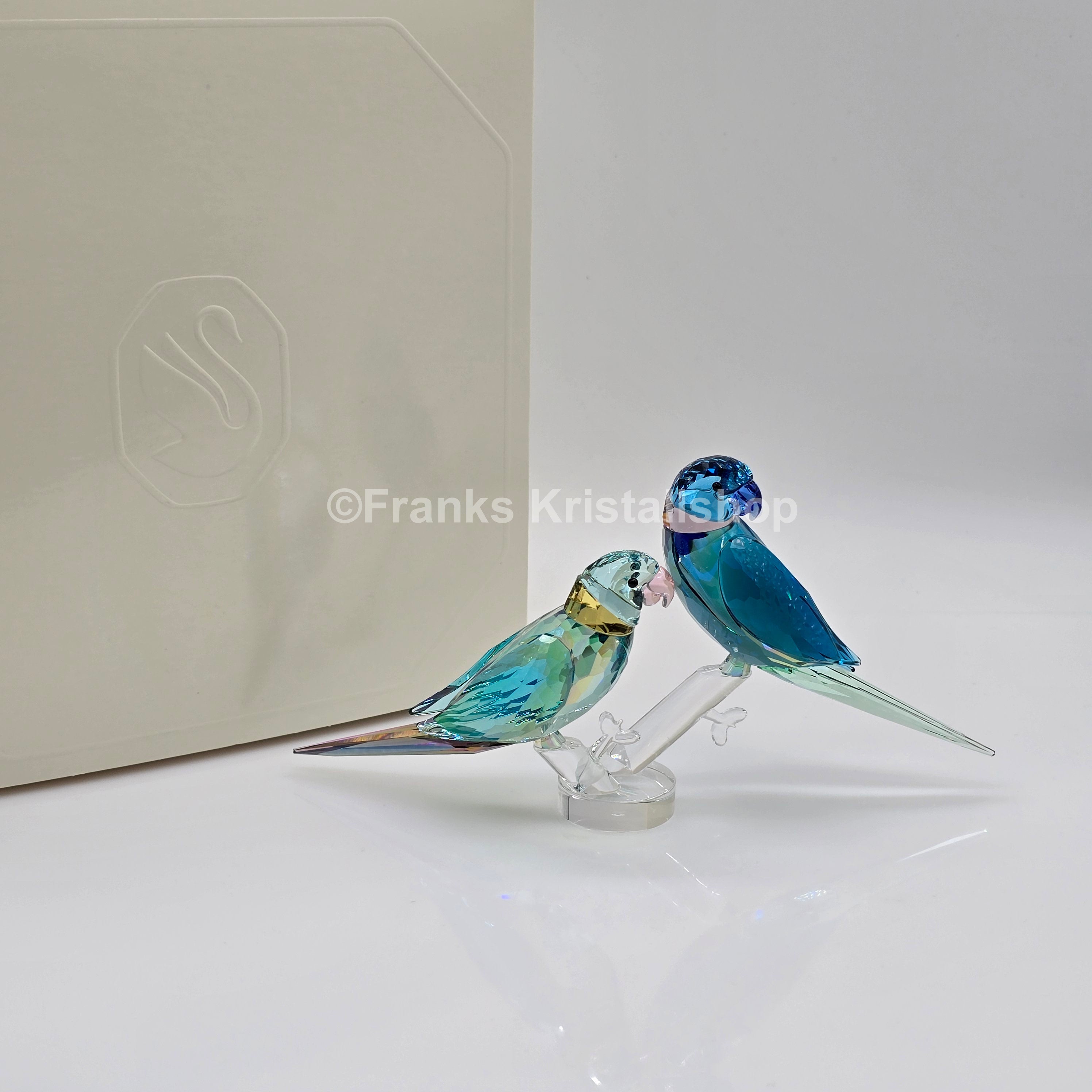 SWAROVSKI Jungle Beats Fife & Fifer Sittiche 5577124