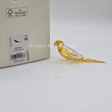 Lade das Bild in den Galerie-Viewer, SWAROVSKI Jungle Beats Gelbbauchsittich Lechee 5619217
