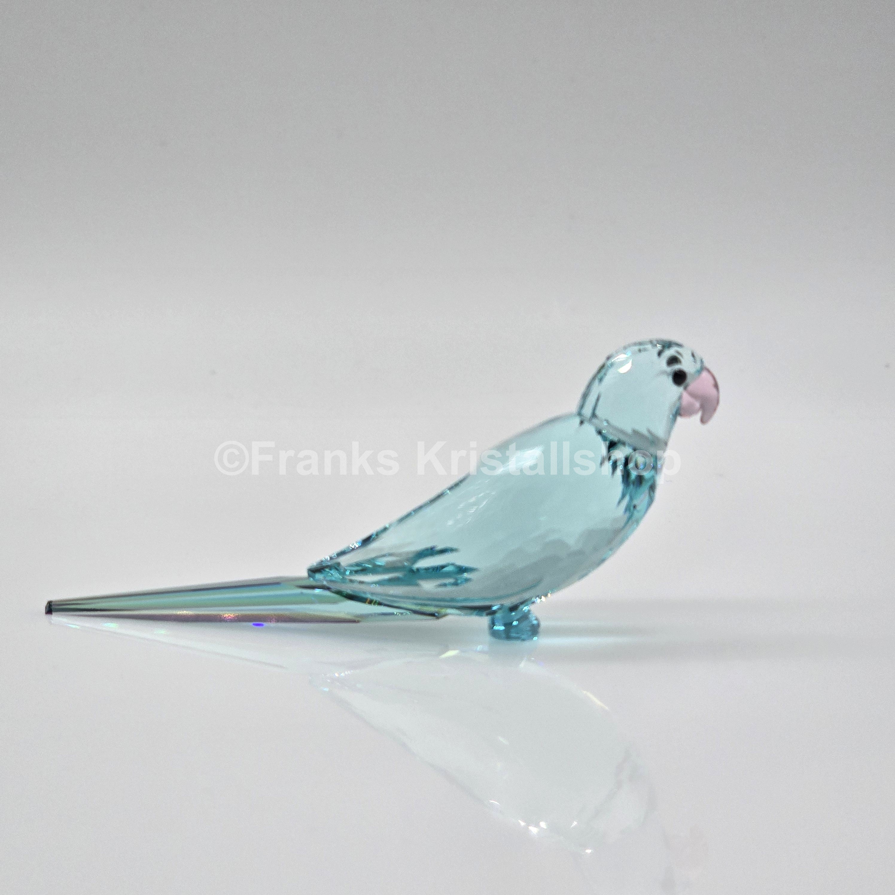 SWAROVSKI Jungle Beats Paco Blue Parakeet 5574519 – Franks