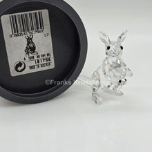 Lade das Bild in den Galerie-Viewer, SWAROVSKI Känguru Mutter und Baby 181756
