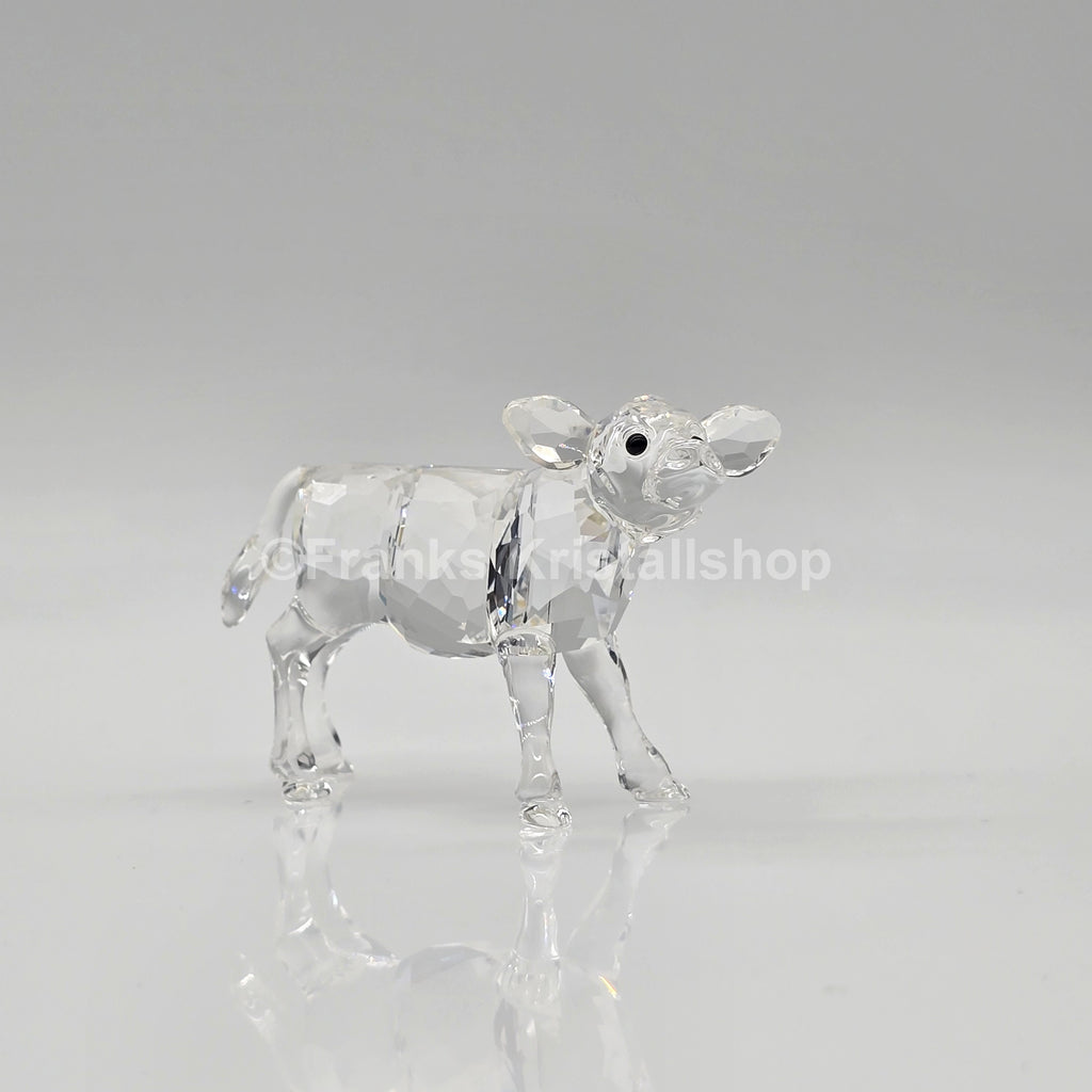 SWAROVSKI Kalb 905776 oU