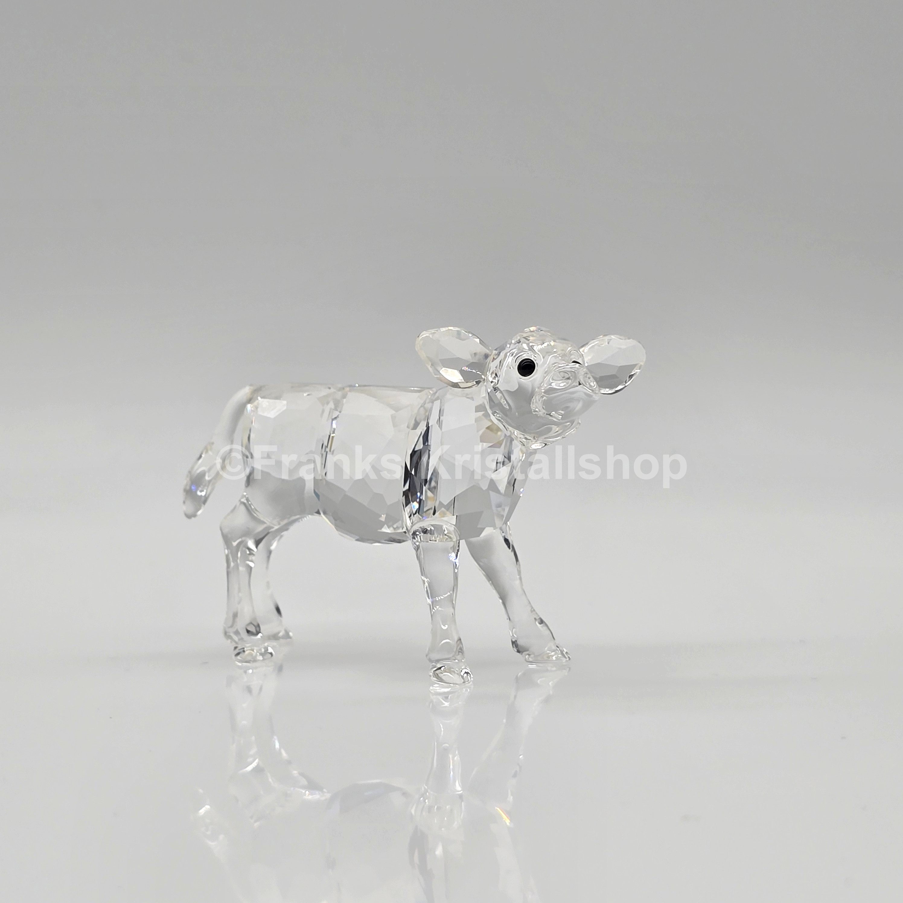 SWAROVSKI Kalb 905776 oU