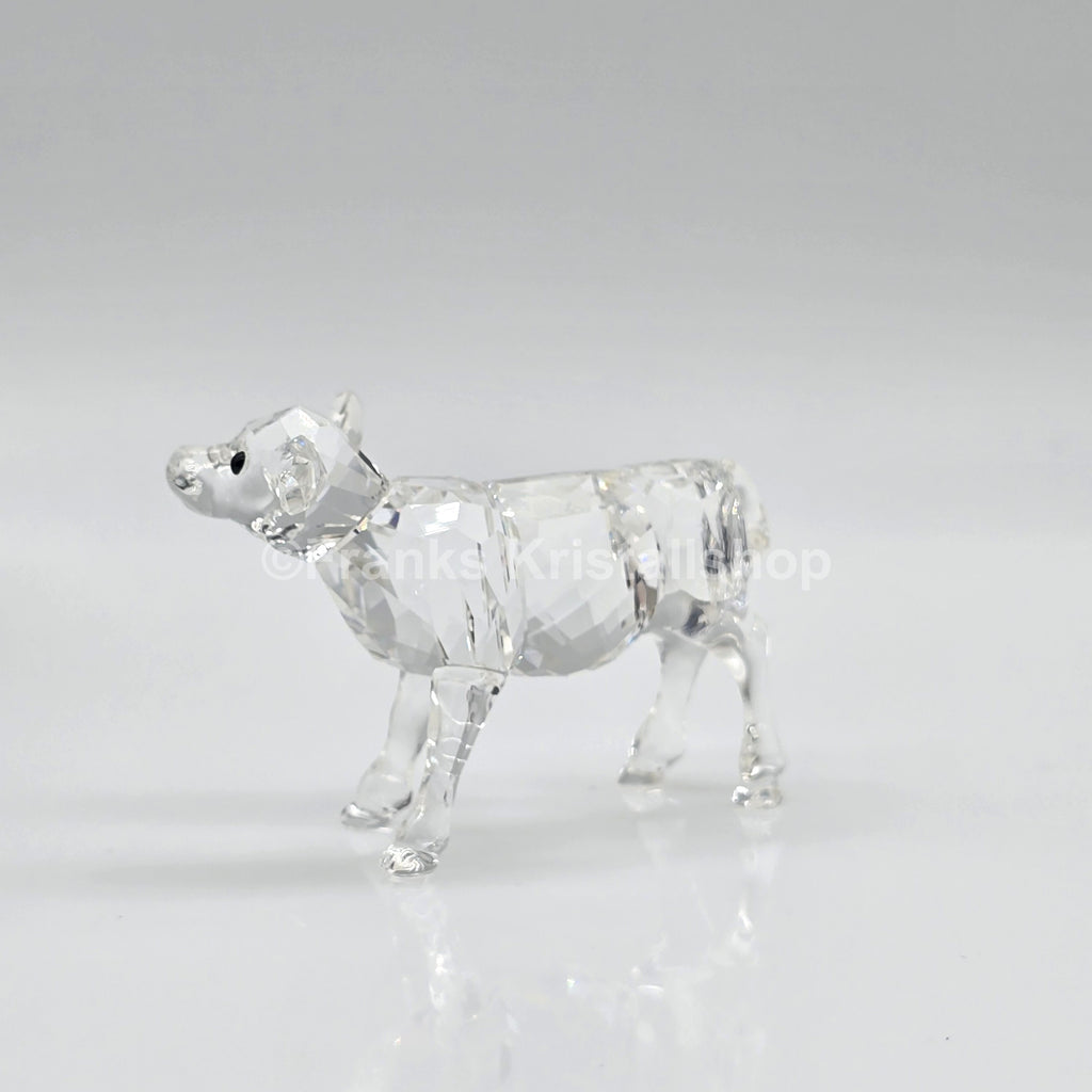 SWAROVSKI Kalb 905776 oU