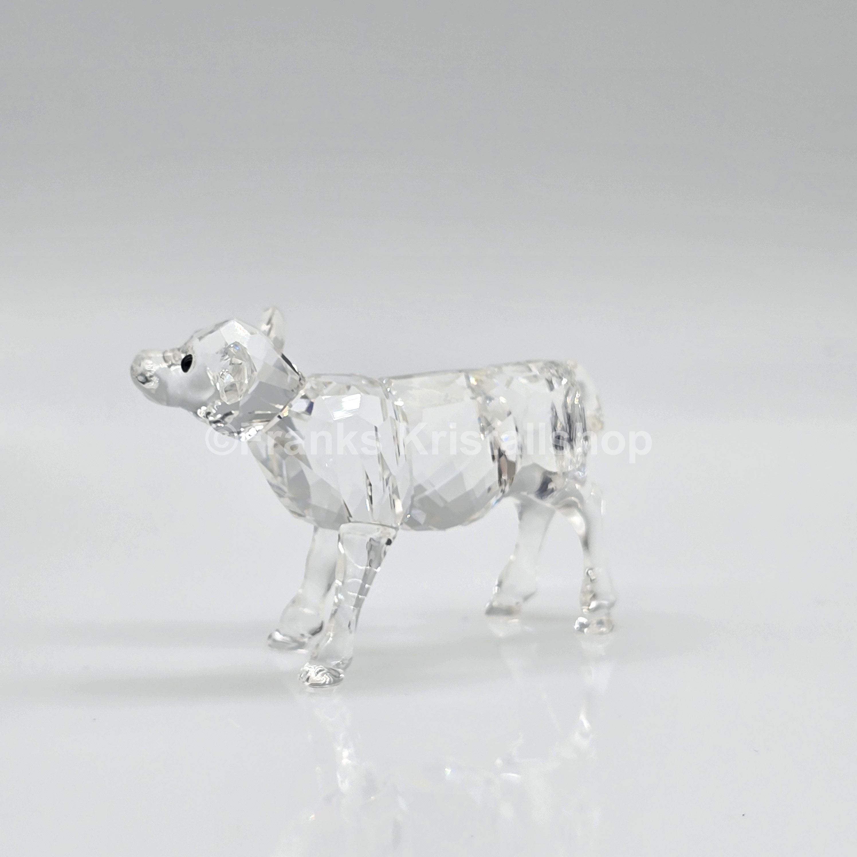 SWAROVSKI Kalb 905776 oU