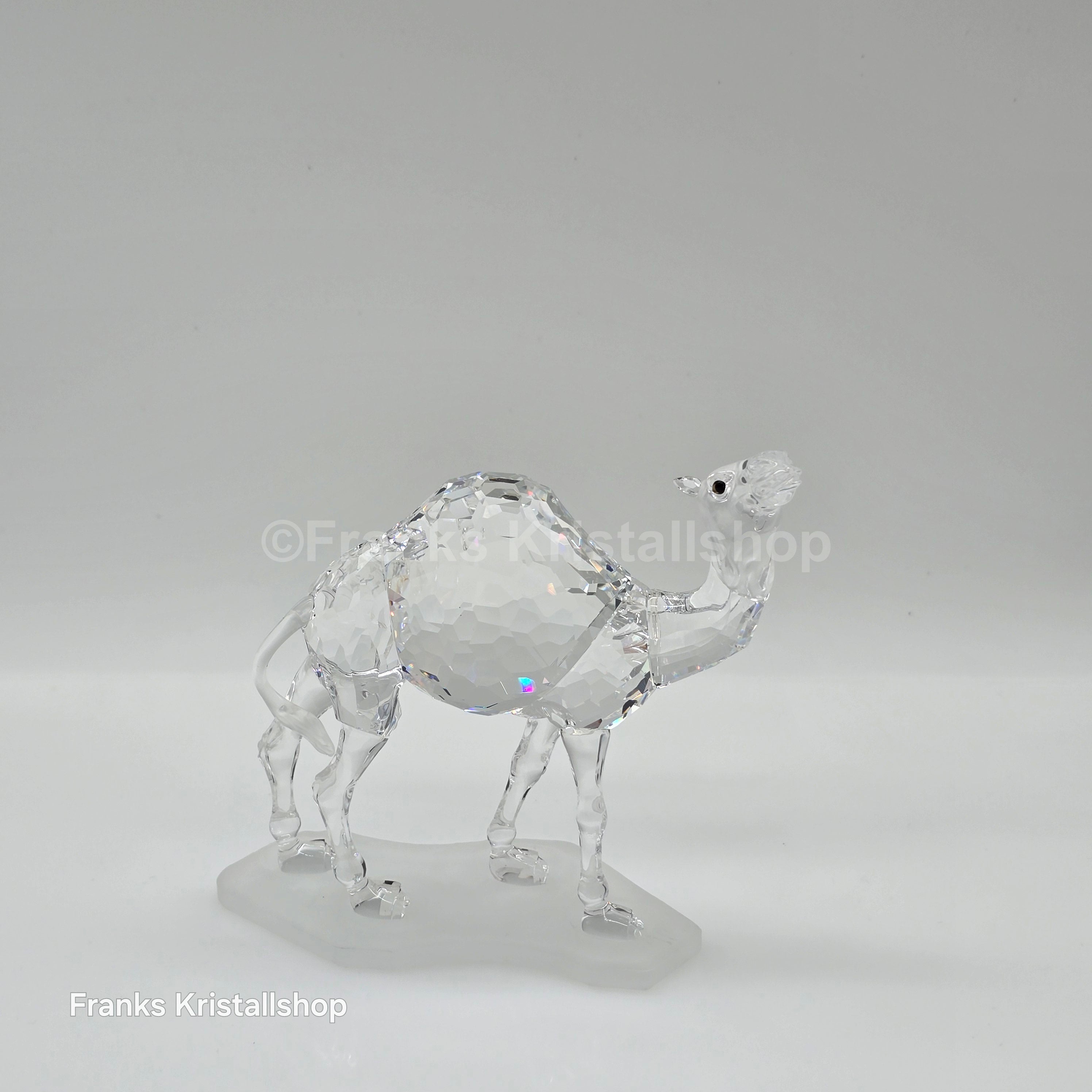 SWAROVSKI Kamel 247683