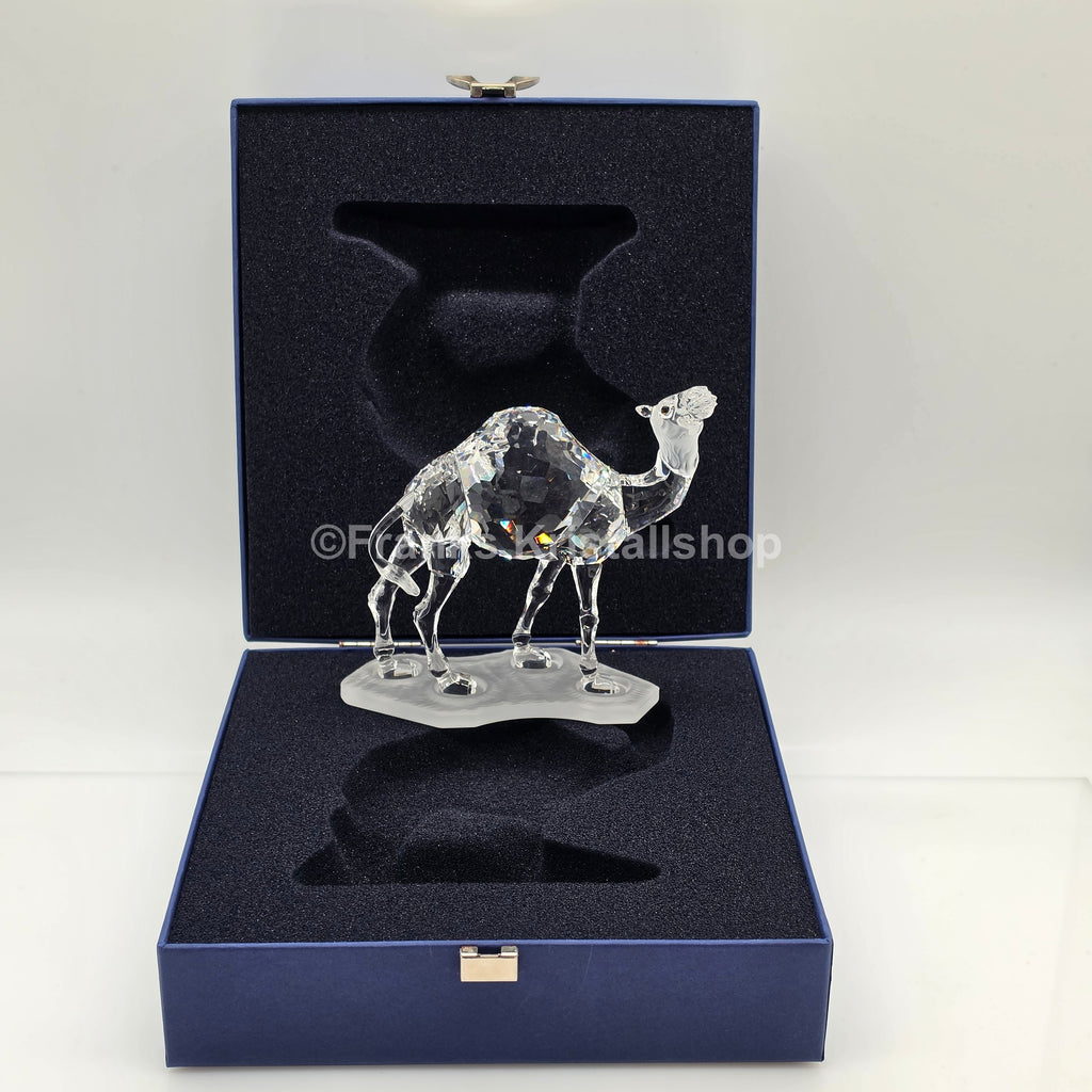 SWAROVSKI Kamel 247683