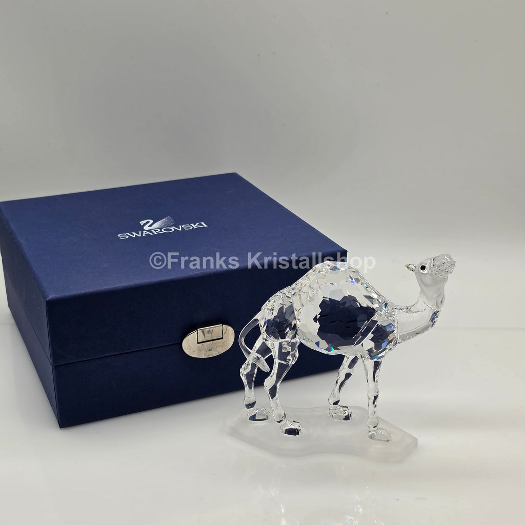 SWAROVSKI Kamel 247683