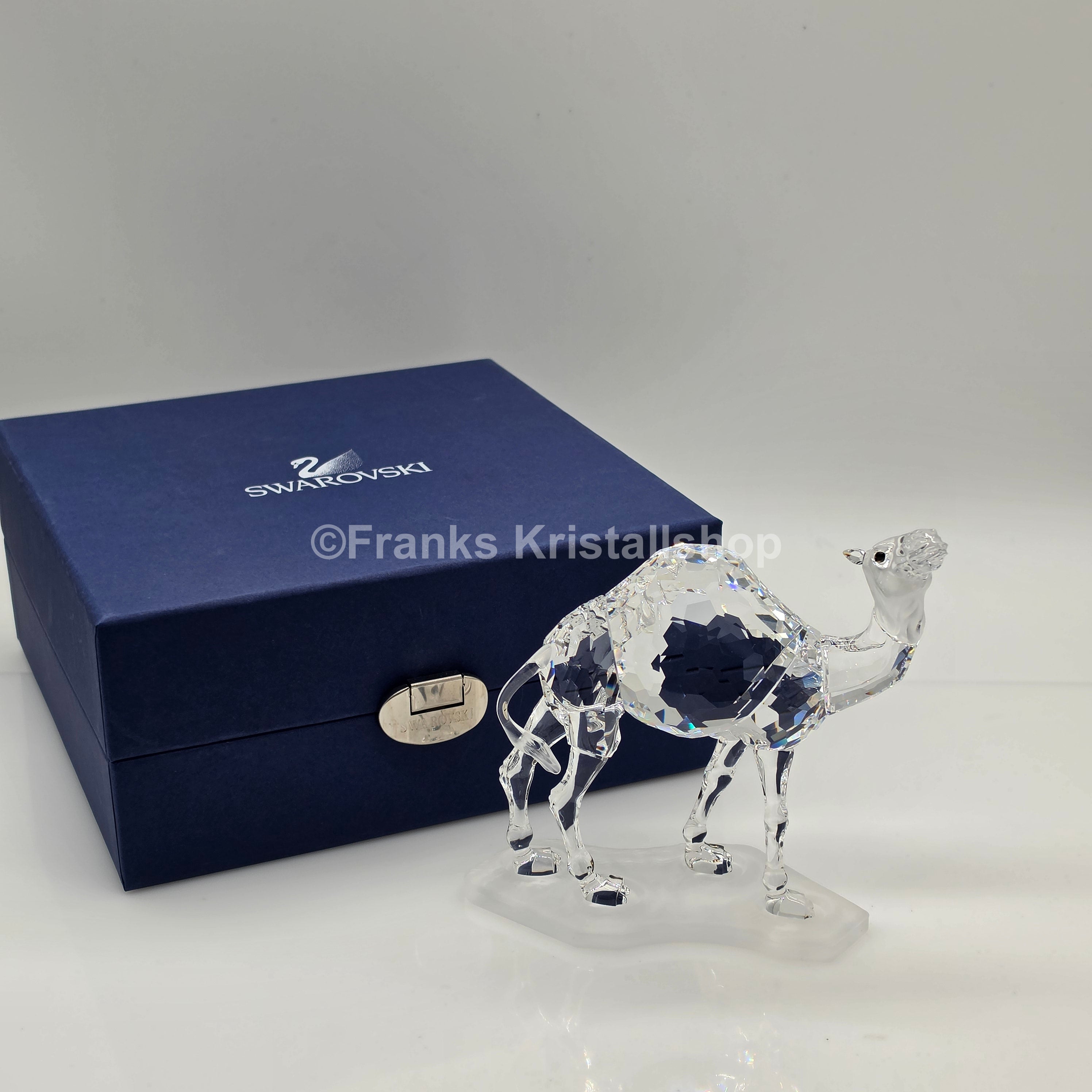 SWAROVSKI Kamel 247683