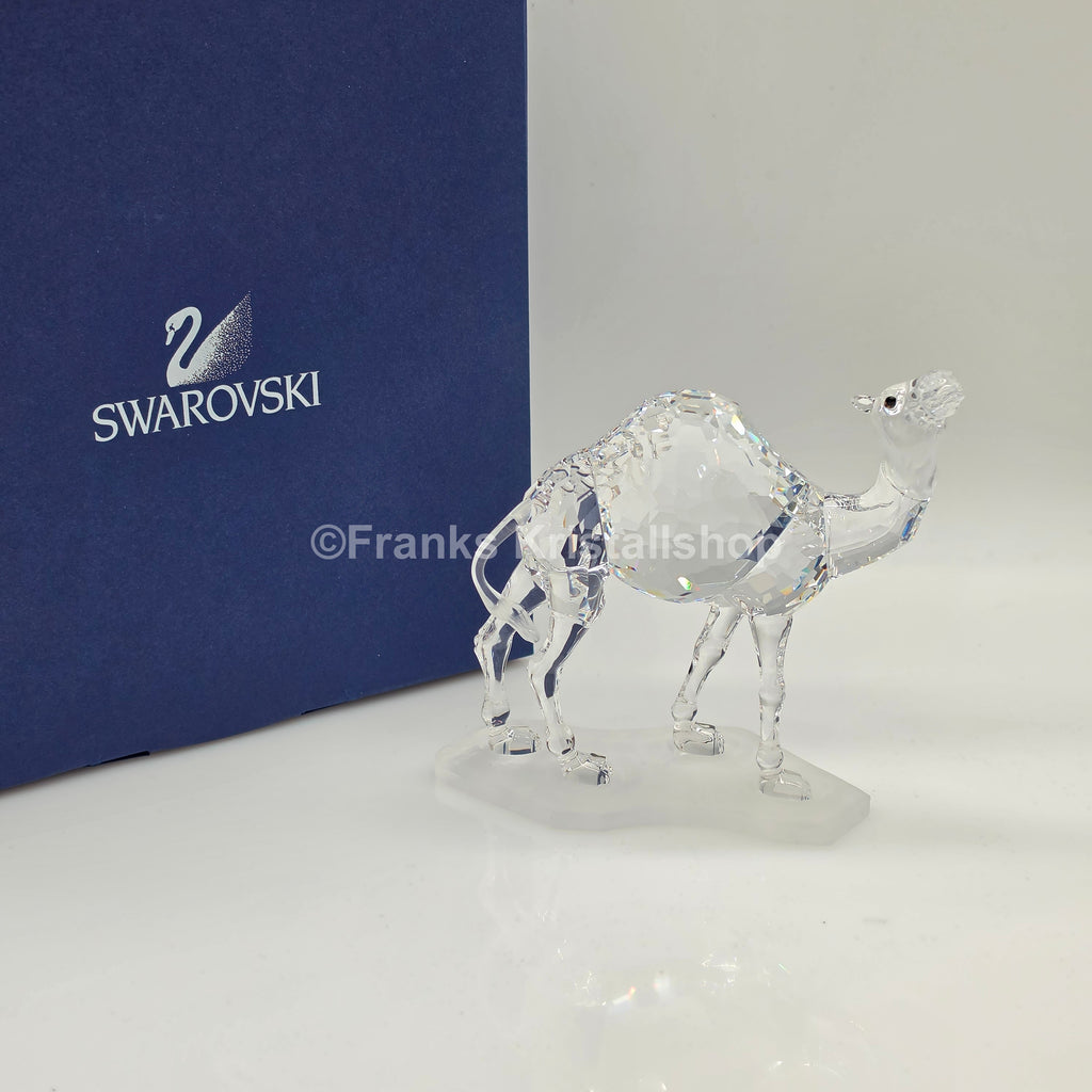 SWAROVSKI Kamel 247683
