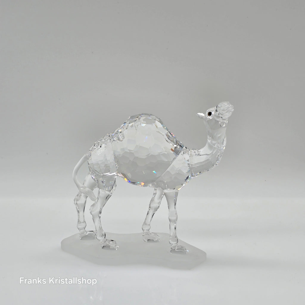SWAROVSKI Kamel 247683