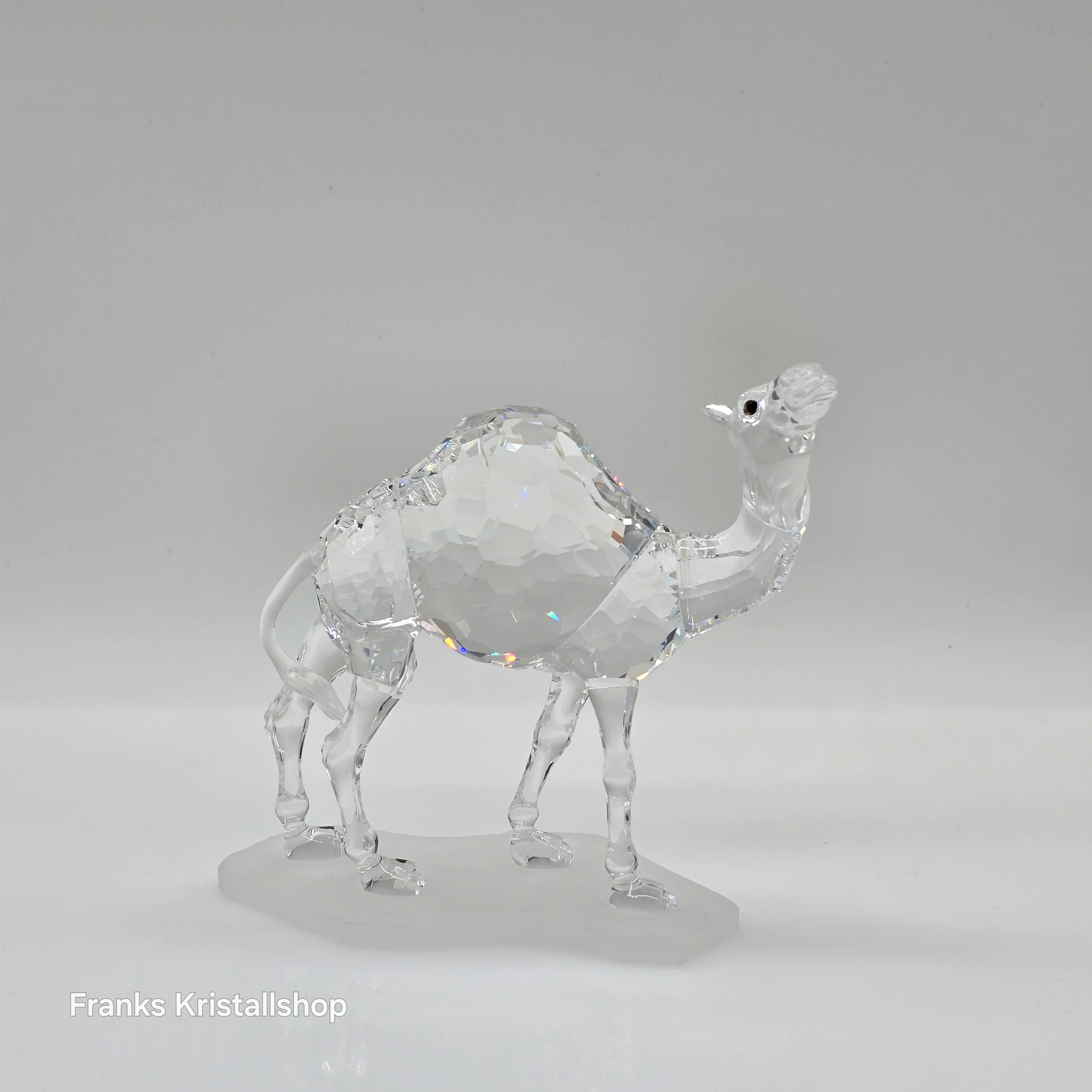 SWAROVSKI Kamel 247683