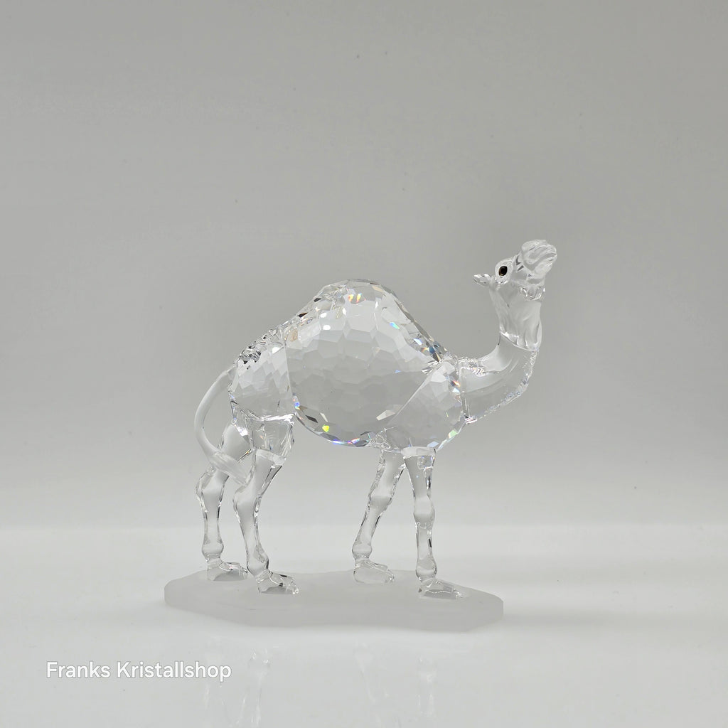 SWAROVSKI Kamel 247683
