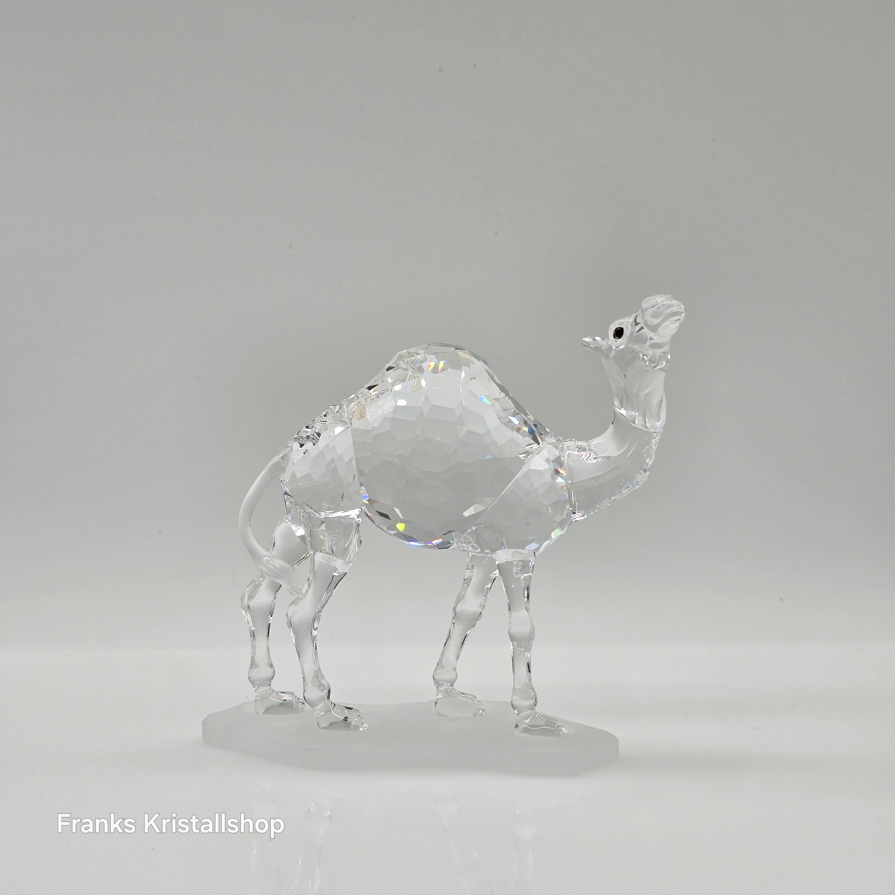 SWAROVSKI Kamel 247683