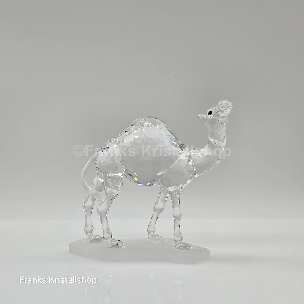SWAROVSKI Kamel 247683