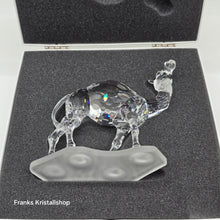 Lade das Bild in den Galerie-Viewer, SWAROVSKI Kamel 247683 oU
