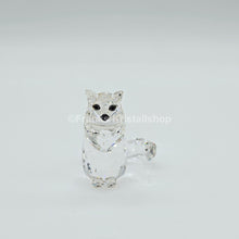 Lade das Bild in den Galerie-Viewer, SWAROVSKI Katze sitzend 160799
