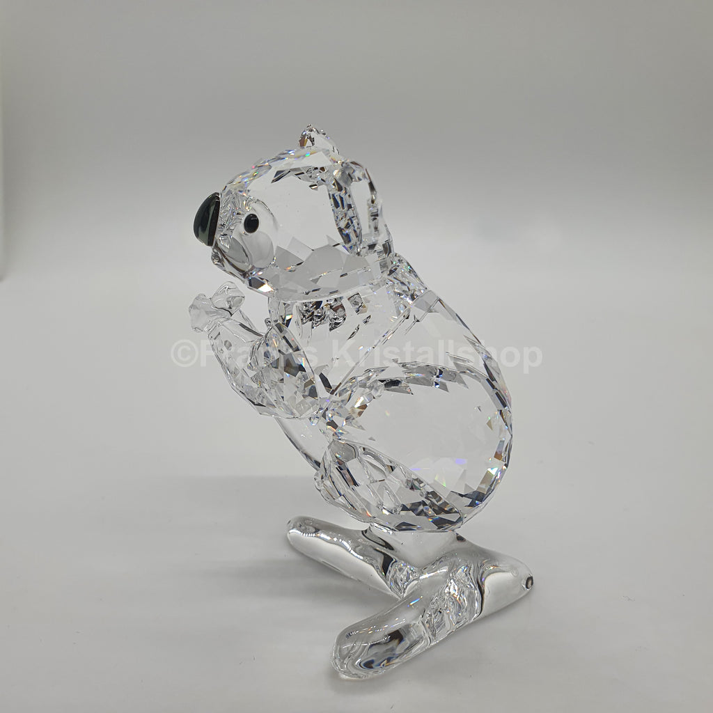 SWAROVSKI Koala Bär 5271914 oU