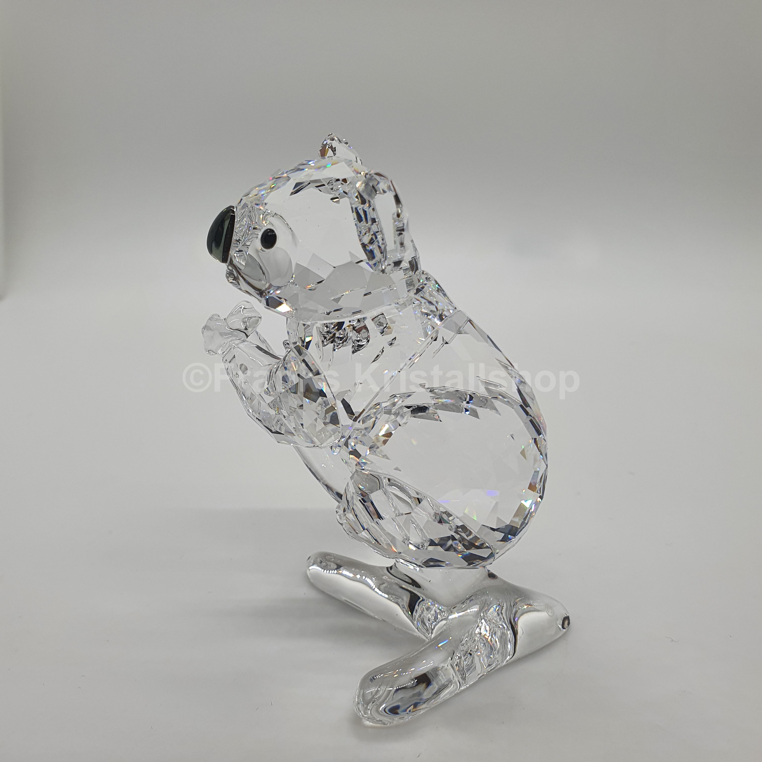 SWAROVSKI Koala Bär 5271914 oU