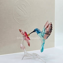 Lade das Bild in den Galerie-Viewer, SWAROVSKI Kolibri Paradise Bird 5461872 5728071
