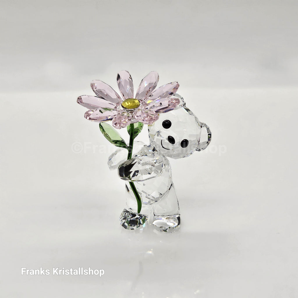 SWAROVSKI Kris Bär Ein Gänseblümchen Für Dich Bear 5675327