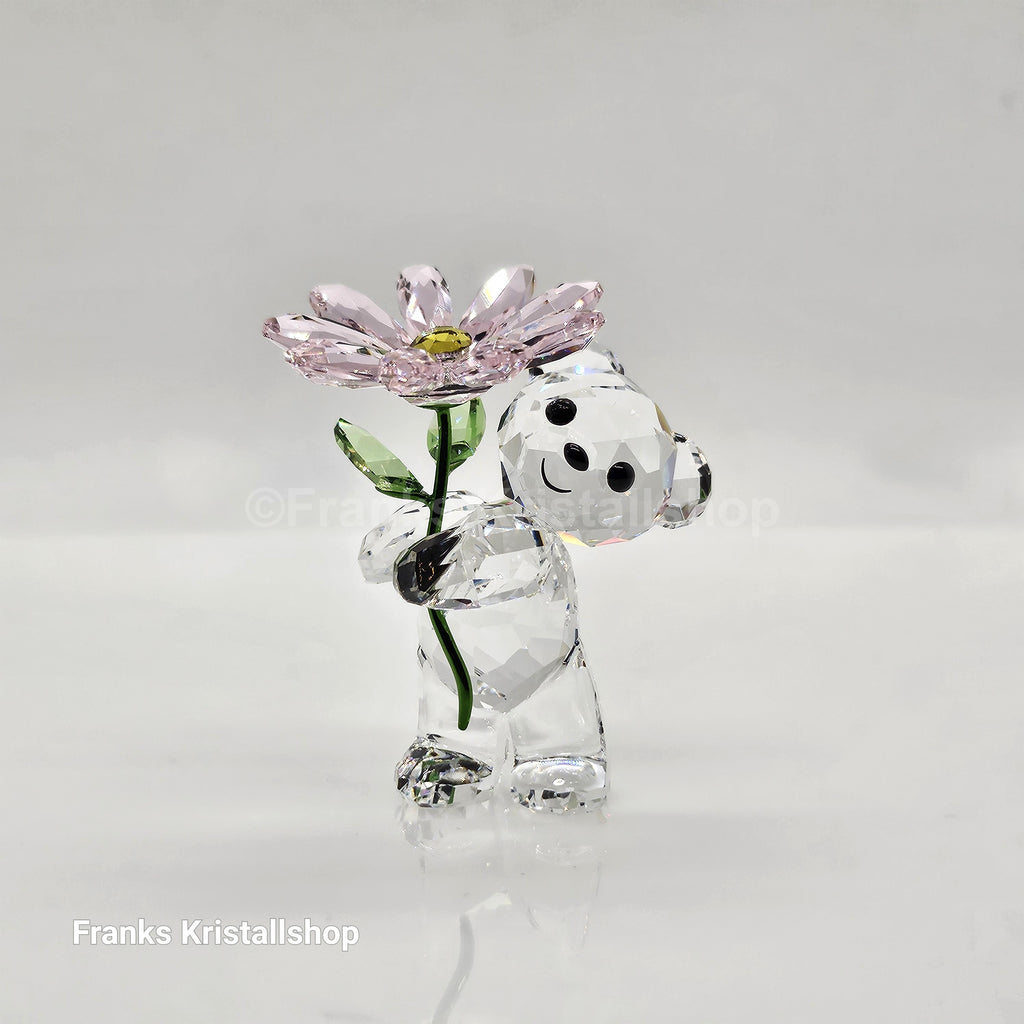 SWAROVSKI Kris Bär Ein Gänseblümchen Für Dich Bear 5675327