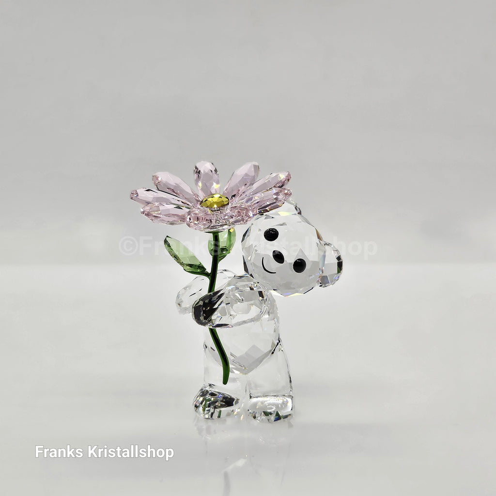 SWAROVSKI Kris Bär Ein Gänseblümchen Für Dich Bear 5675327