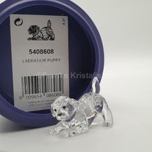 Lade das Bild in den Galerie-Viewer, SWAROVSKI Labrador Welpe Spielend 5408608
