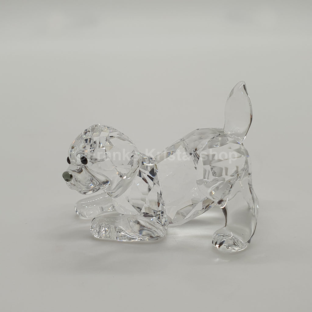 SWAROVSKI Labrador Welpe Spielend 5723657