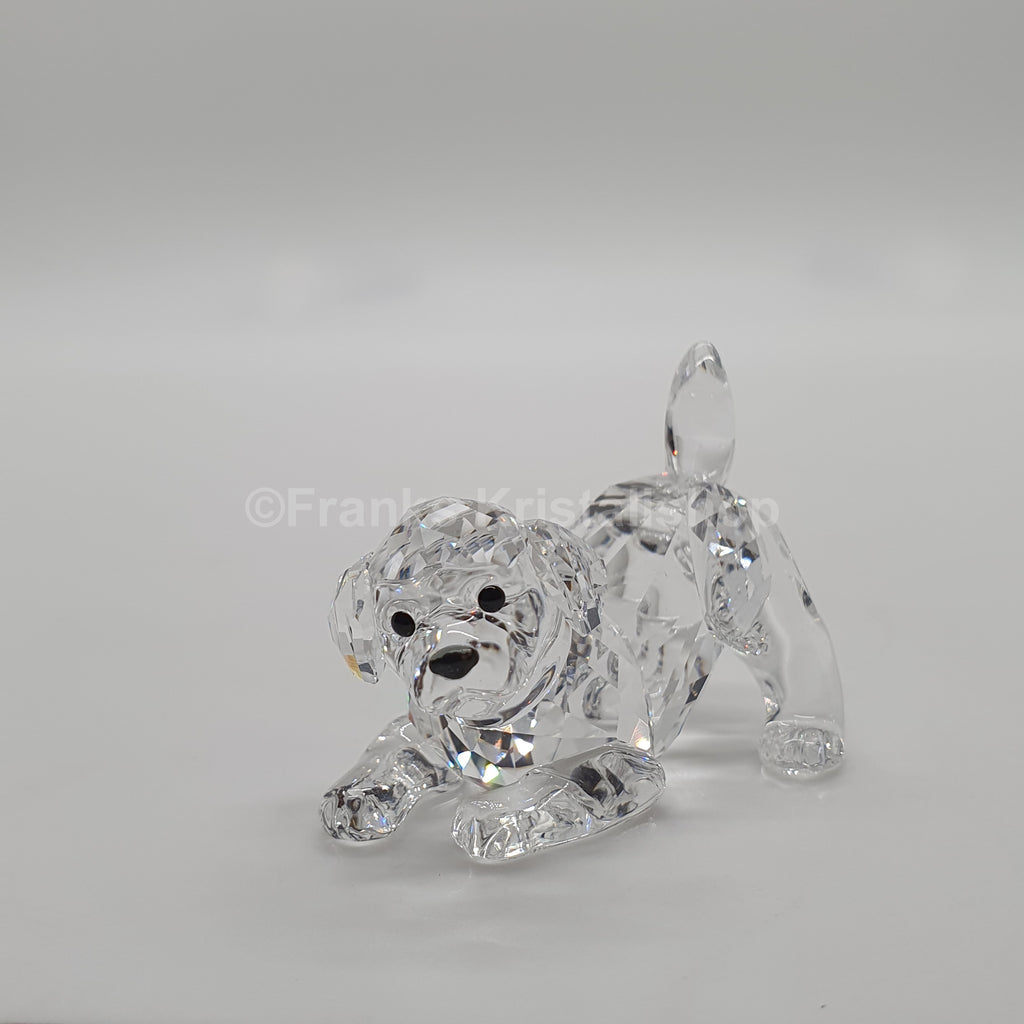 SWAROVSKI Labrador Welpe Spielend 5723657