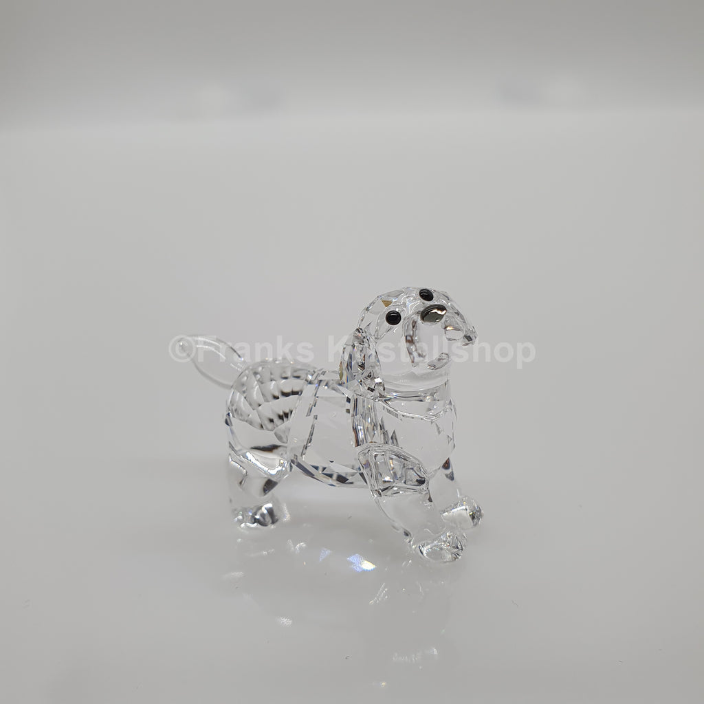 SWAROVSKI Labrador Welpe Stehend 5400141