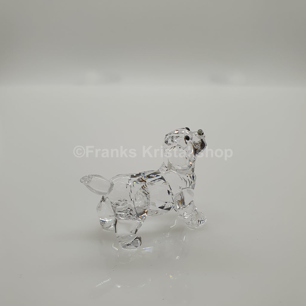 SWAROVSKI Labrador Welpe Stehend 5400141
