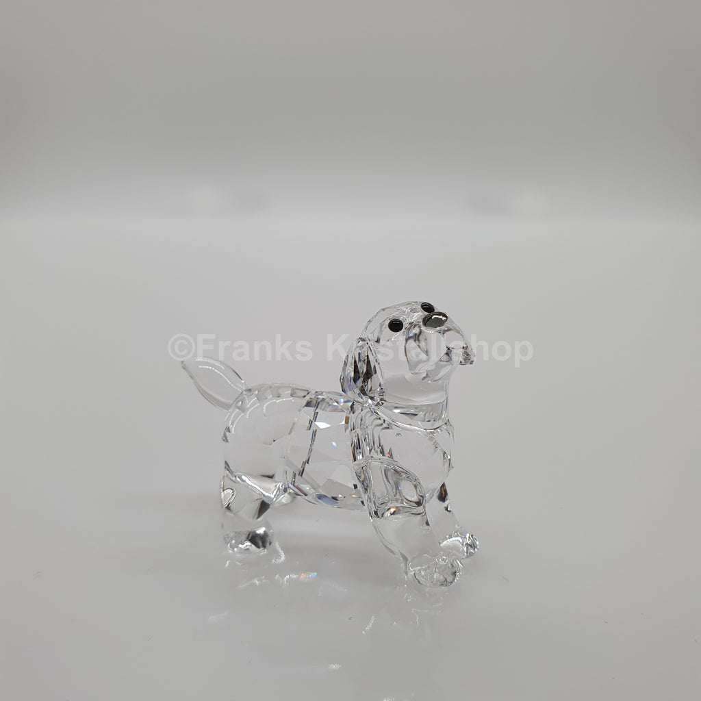 SWAROVSKI Labrador Welpe Stehend 5400141