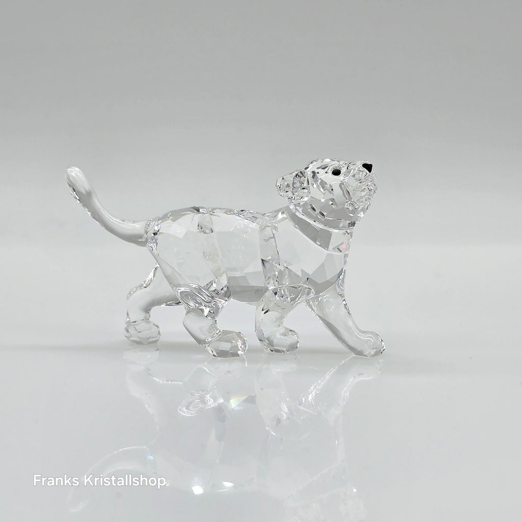 SWAROVSKI Löwen Baby Löwenjunges 1194148