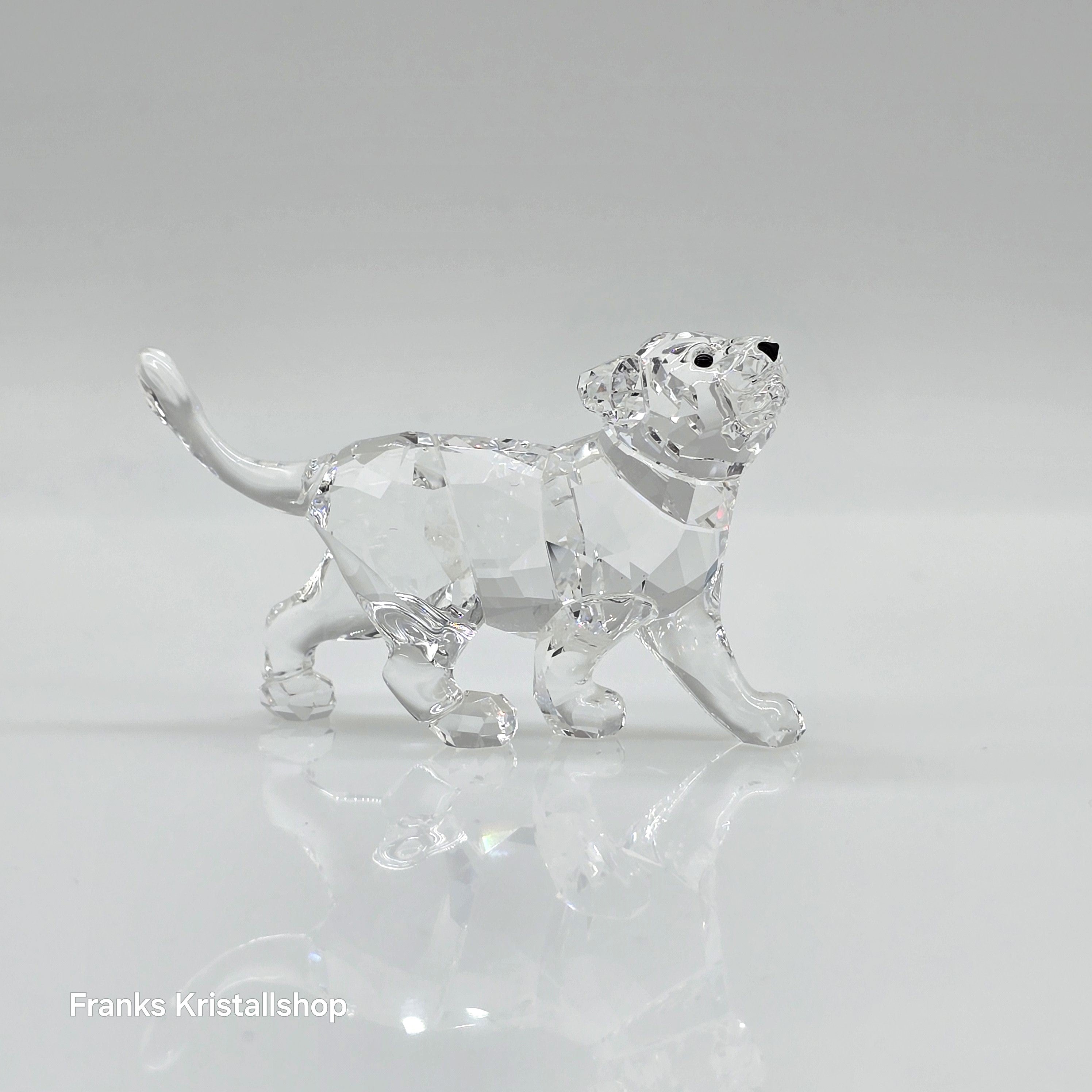 SWAROVSKI Löwen Baby Löwenjunges 1194148