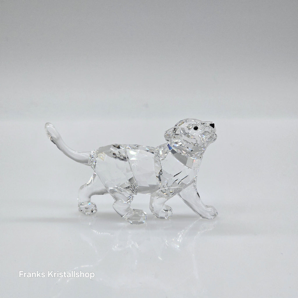 SWAROVSKI Löwen Baby Löwenjunges 1194148