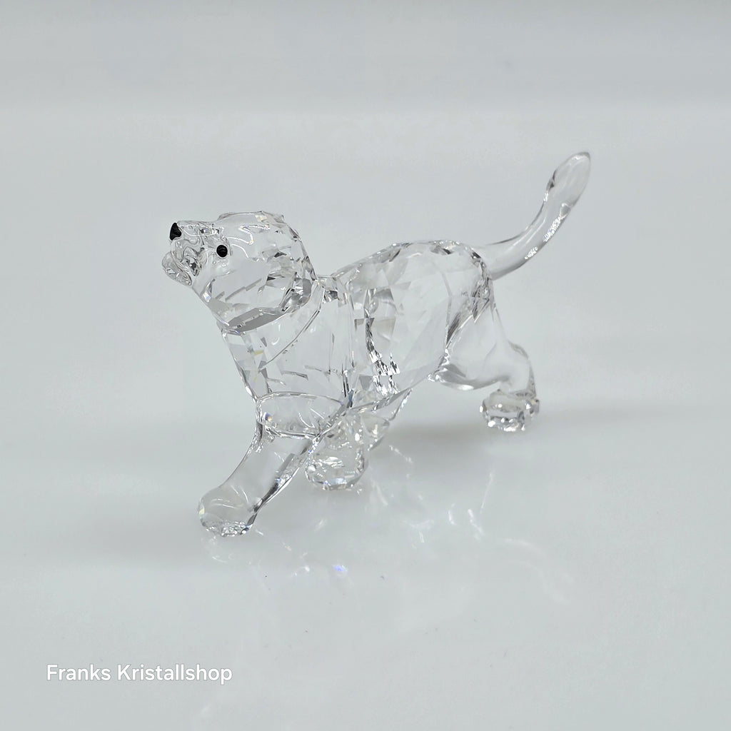 SWAROVSKI Löwen Baby Löwenjunges 1194148