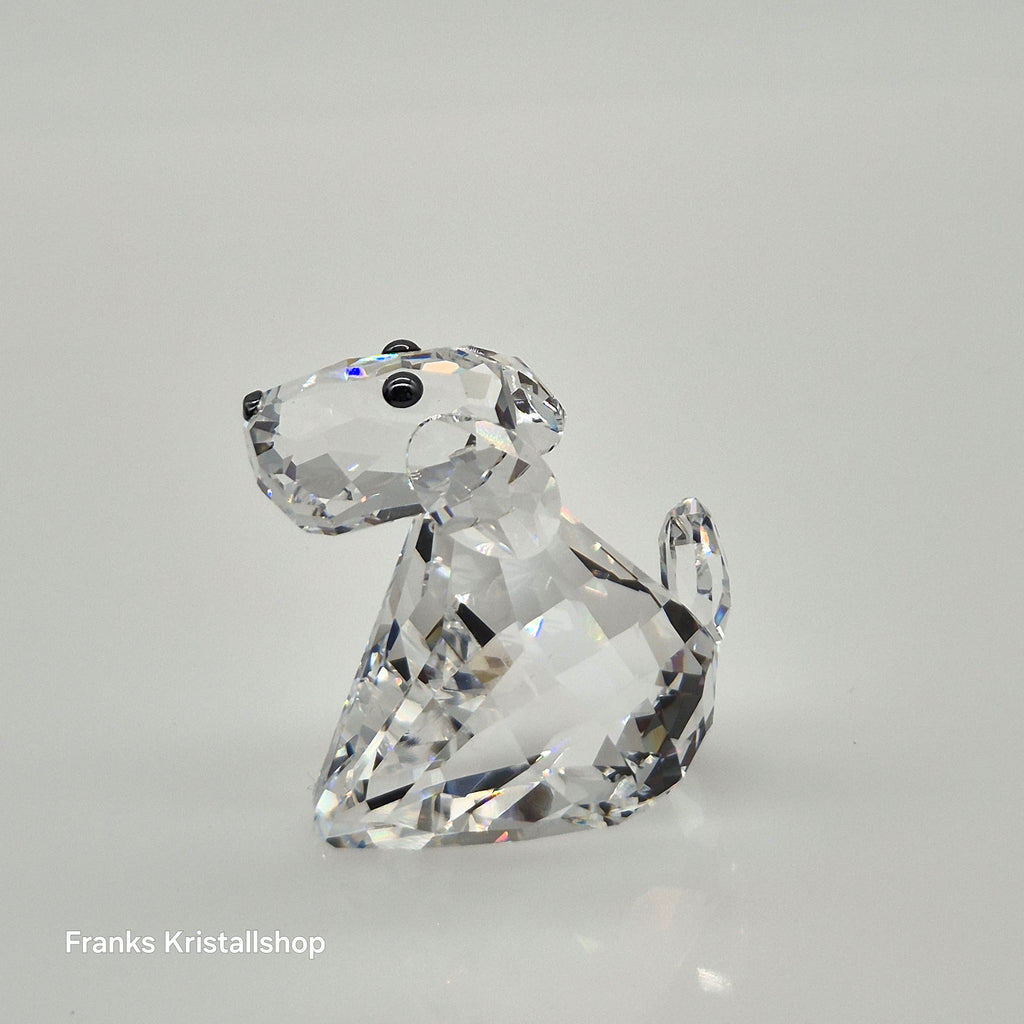 SWAROVSKI Lovlots Hund Robby B. 840908