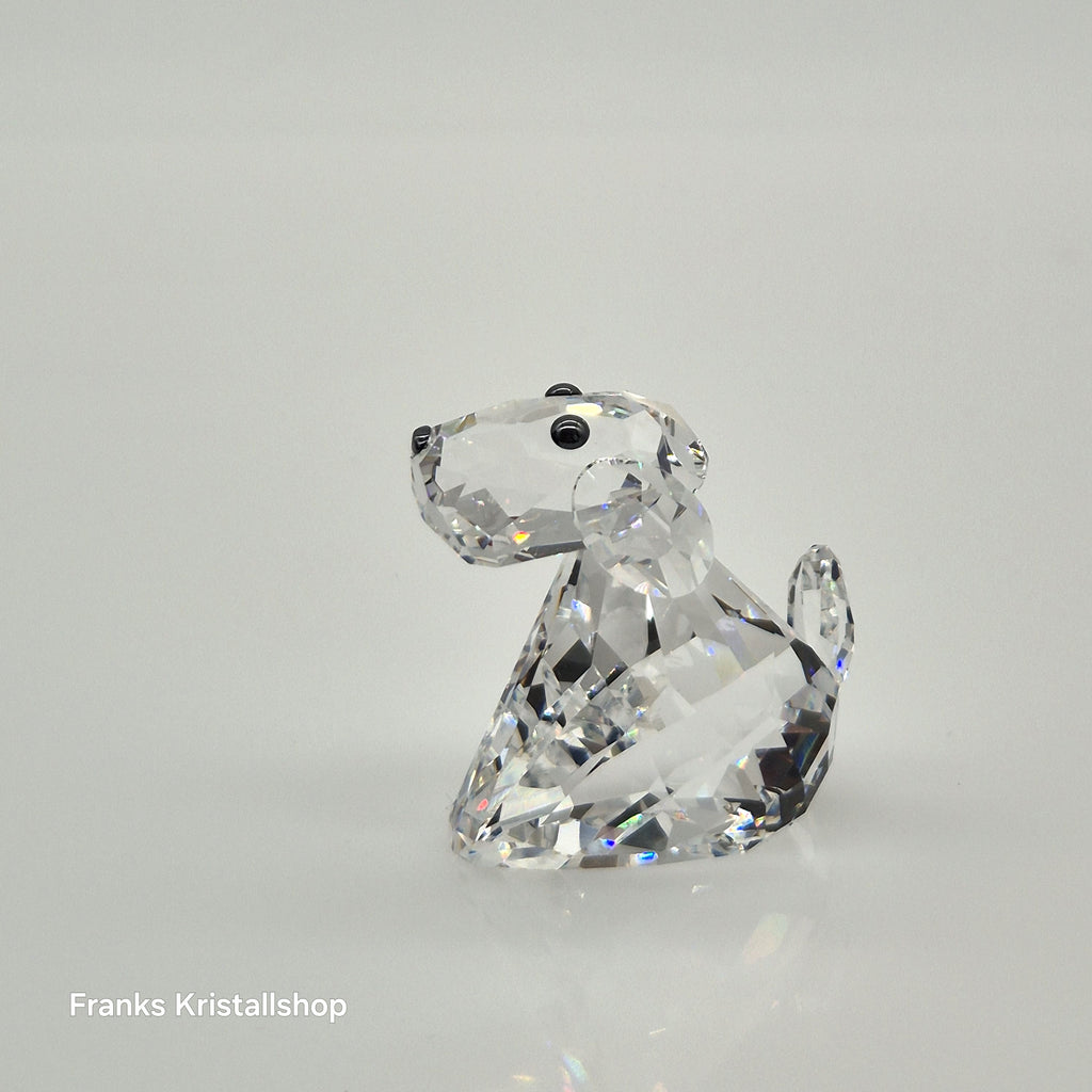 SWAROVSKI Lovlots Hund Robby B. 840908