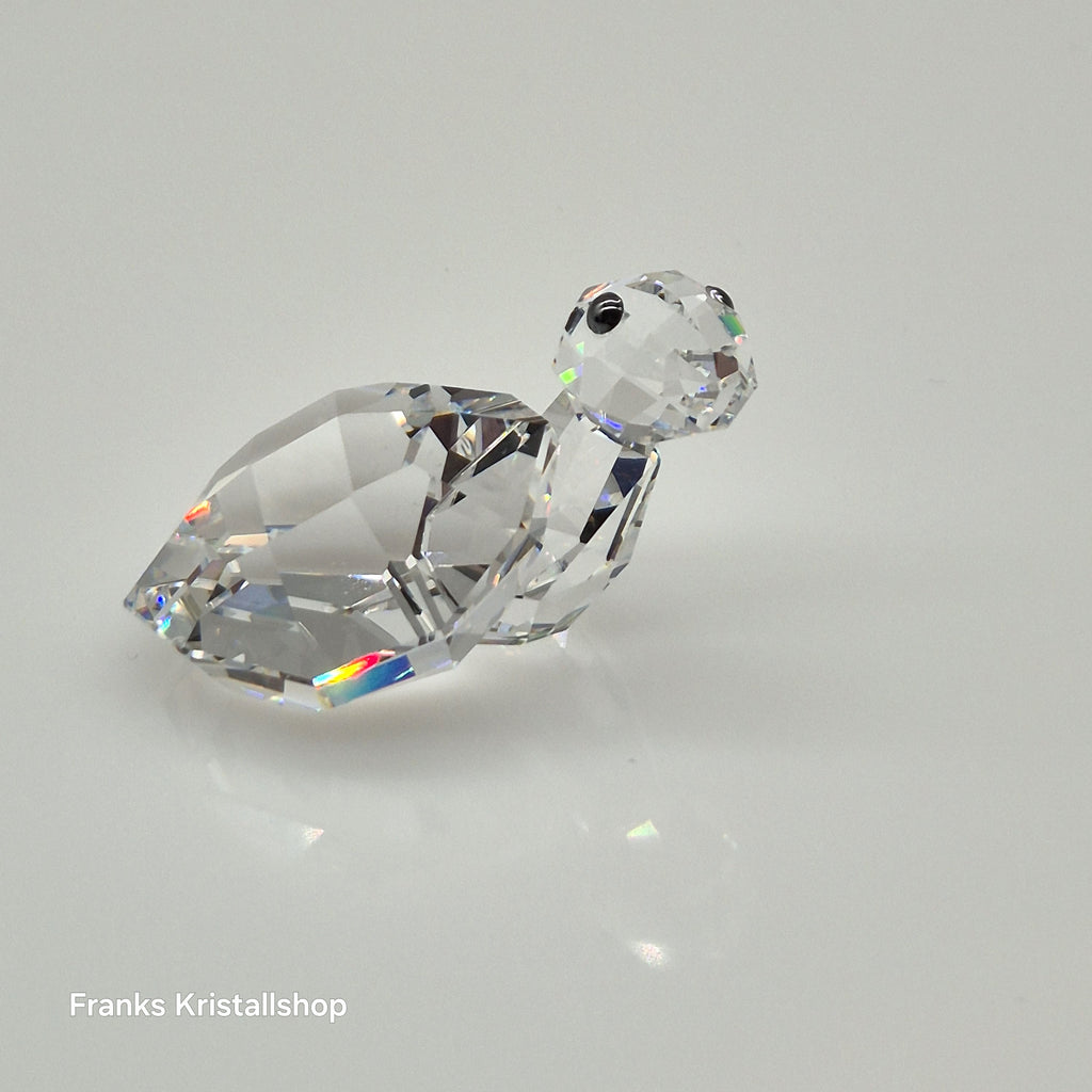 SWAROVSKI Lovlots - Schildkröte Winwin 839869