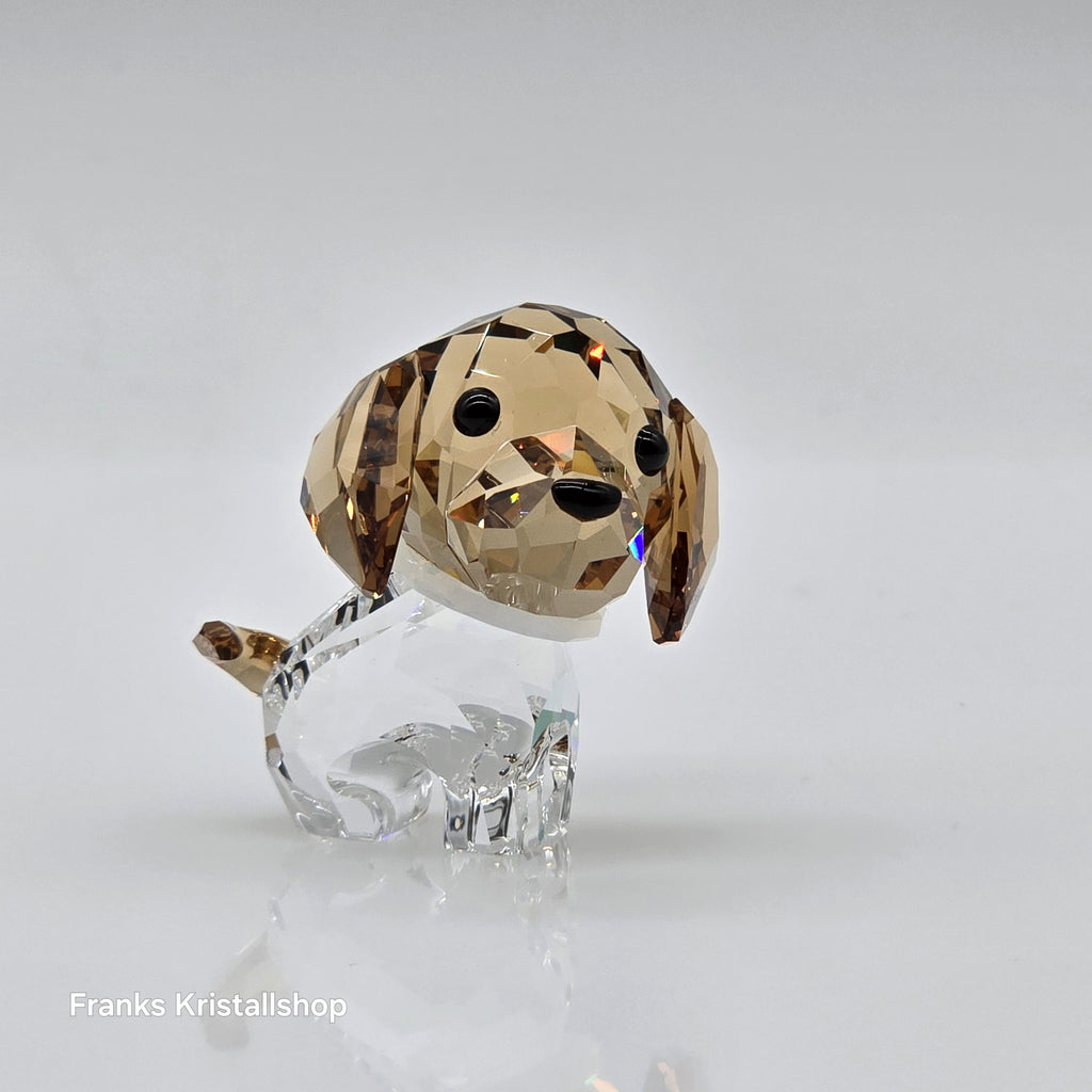 SWAROVSKI Welpe Max der Beagle 5063329