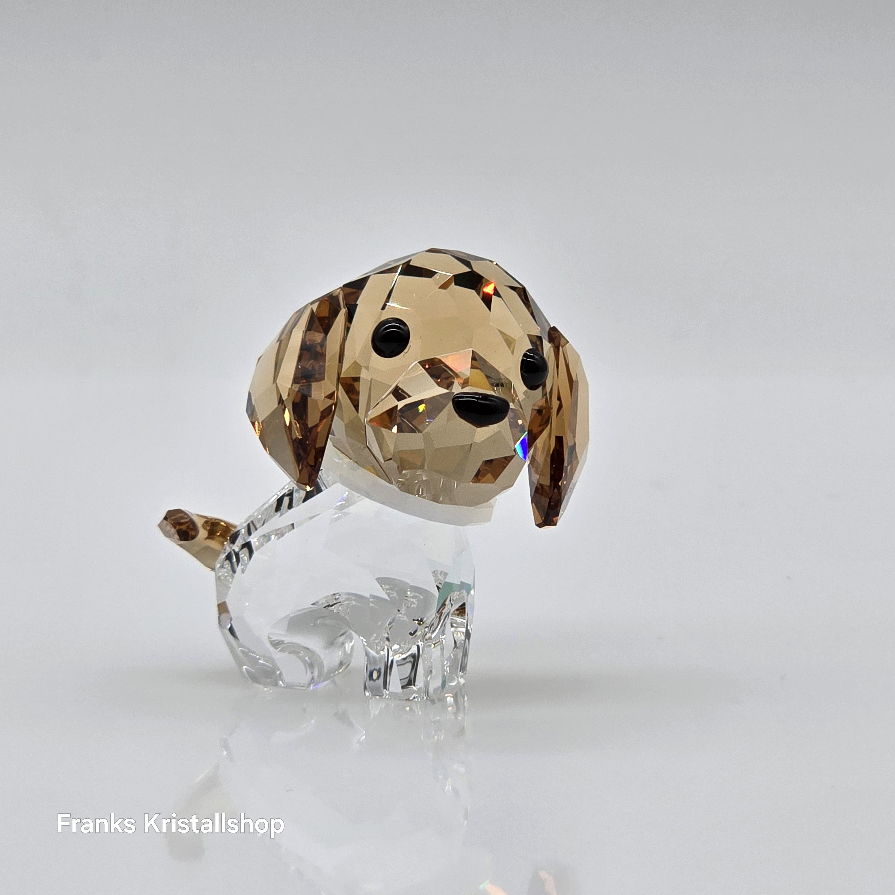 SWAROVSKI Welpe Max der Beagle 5063329