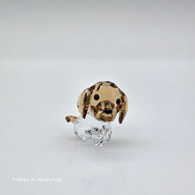 Lade das Bild in den Galerie-Viewer, SWAROVSKI Welpe Max der Beagle 5063329
