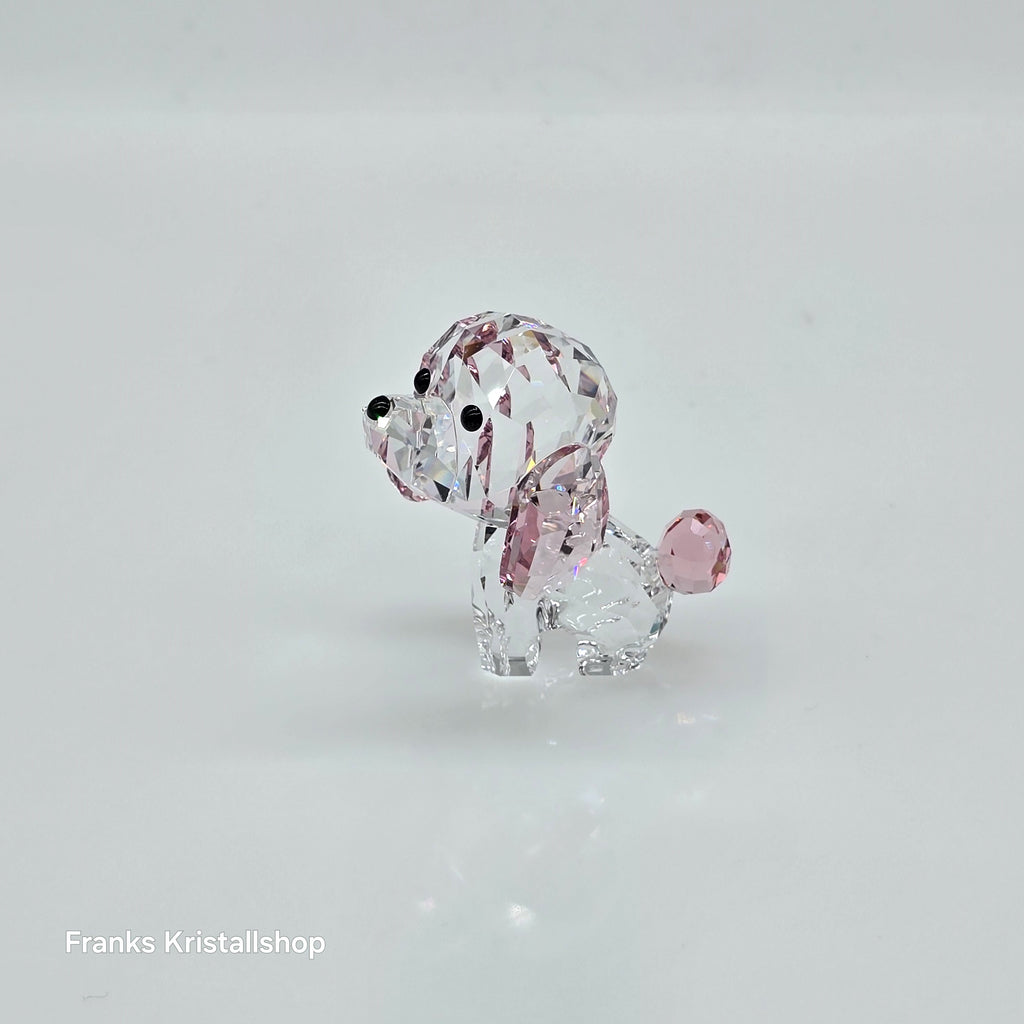 SWAROVSKI Welpe Rosie der Pudel 5063331