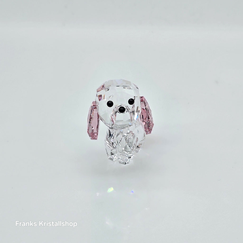 SWAROVSKI Welpe Rosie der Pudel 5063331