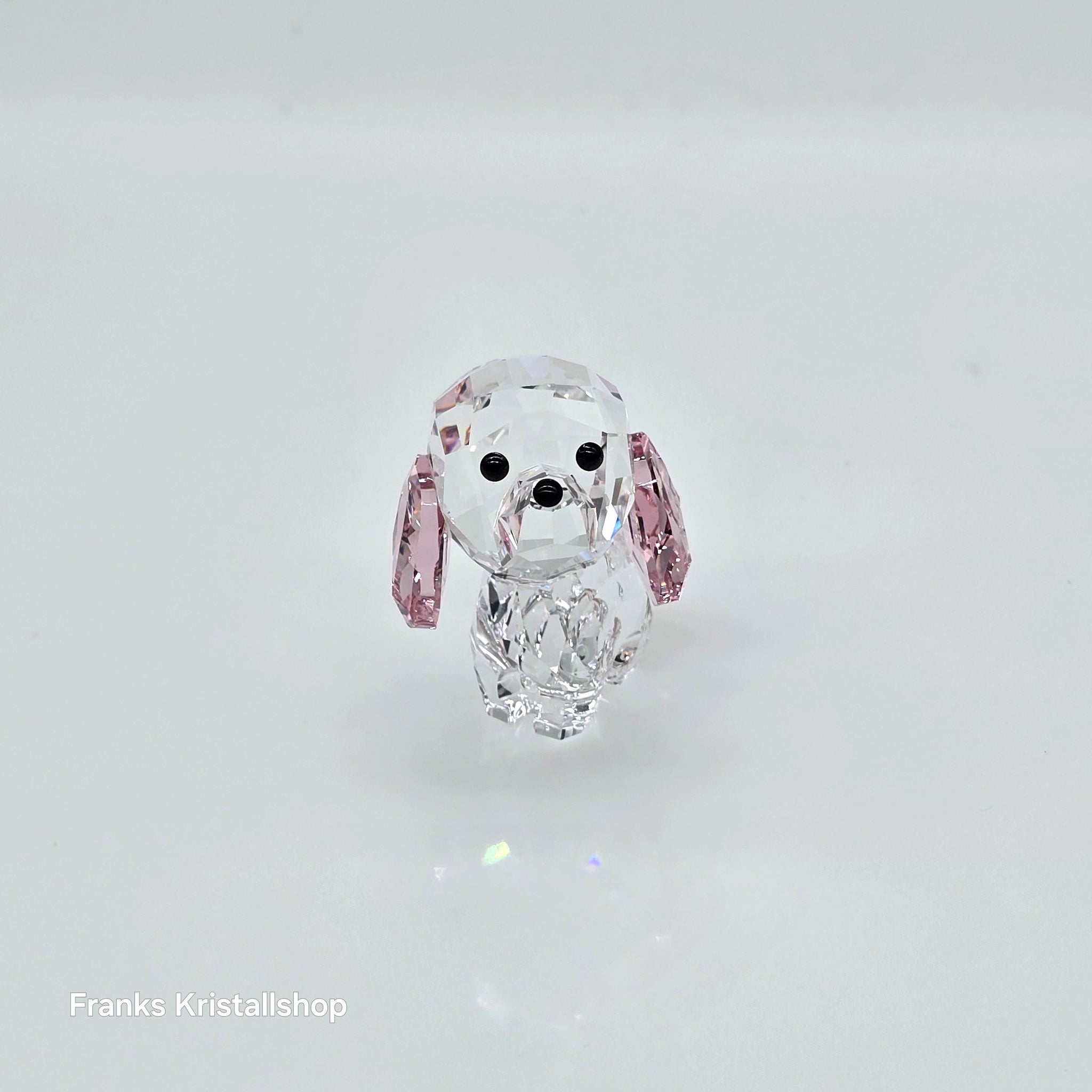 スワロフスキー Puppy – Rosie（プードル） SWAROVSKI Welpe Rosie der Pudel 5063331 – Franks Kristall Shop