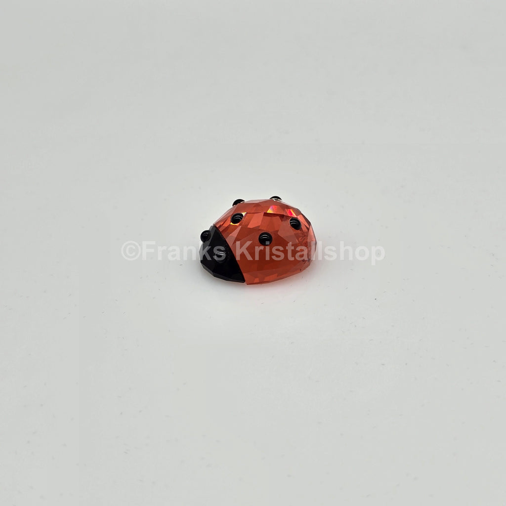 SWAROVSKI Lucky Ladybird Marienkäfer 1054587
